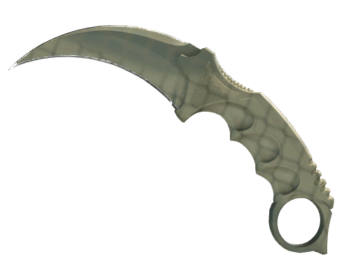 ★ StatTrak™ Karambit | Safari Mesh (Factory New)