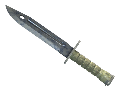 ★ StatTrak™ Bayonet | Stained (Factory New)