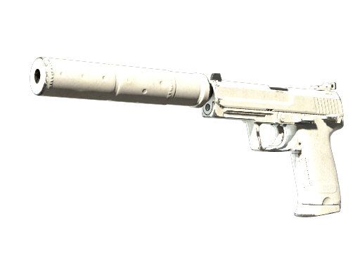 Souvenir USP-S | Whiteout (Well-Worn)