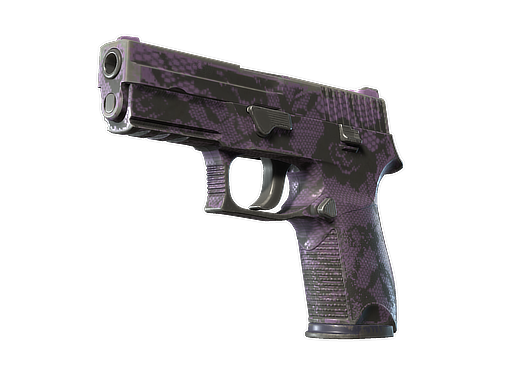 Souvenir P250 | Plum Netting (Well-Worn)
