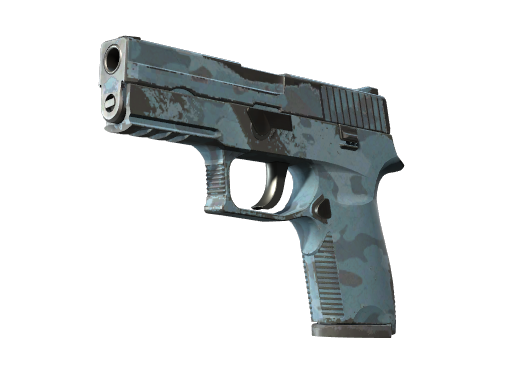 Souvenir P250 | Forest Night (Well-Worn)