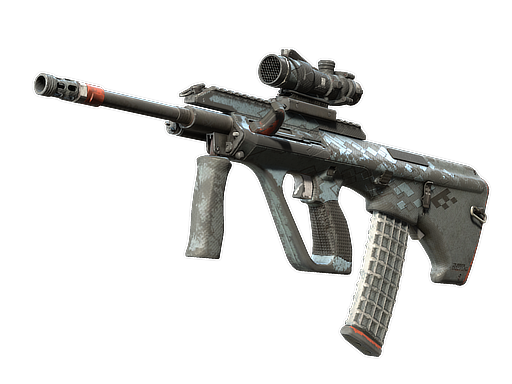 Souvenir AUG | Trigger Discipline (Battle-Scarred)