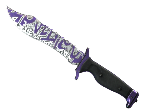 ★ StatTrak™ Bowie Knife | Freehand (Well-Worn)