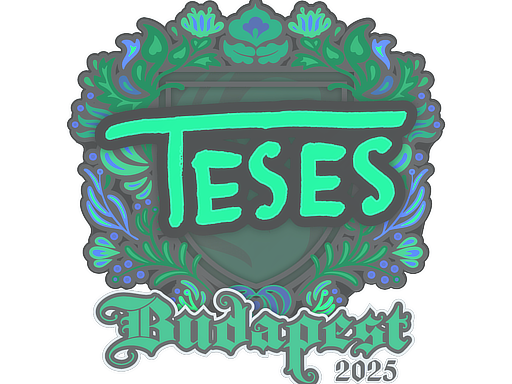 Sticker | TeSeS | Budapest 2025