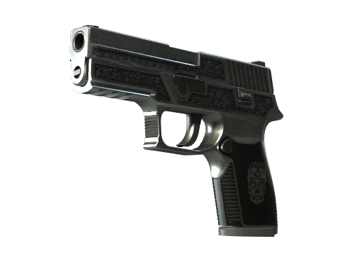 Souvenir P250 | Cartel (Well-Worn)