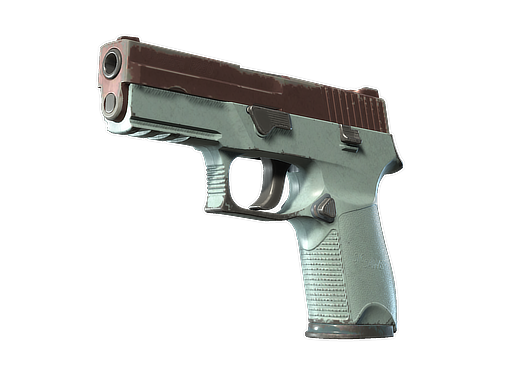 Souvenir P250 | Copper Oxide (Well-Worn)