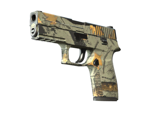 Souvenir P250 | Modern Hunter (Well-Worn)