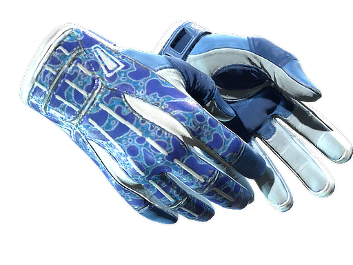 ★ Sport Gloves | Amphibious