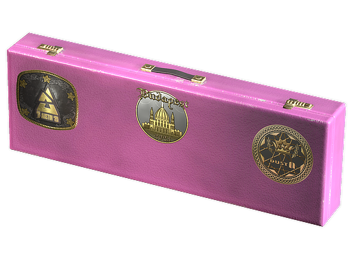 Budapest 2025 Dust II Souvenir Package