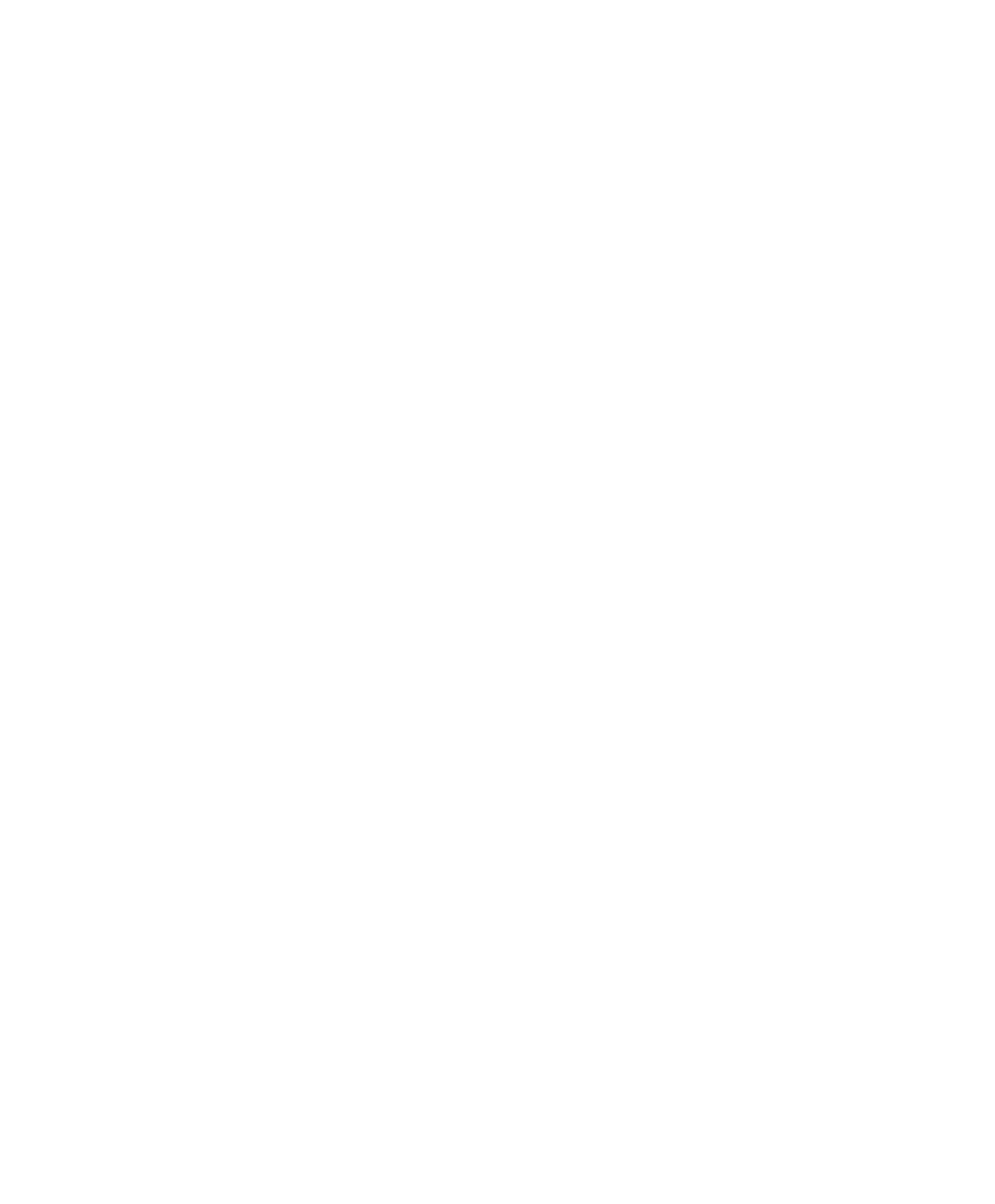 BRUTE logo