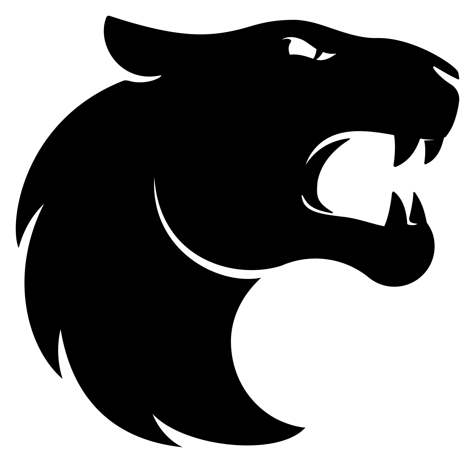 FURIA fe logo