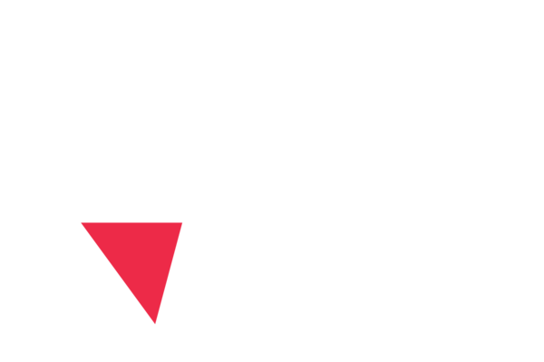 paiN logo