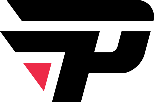 paiN logo