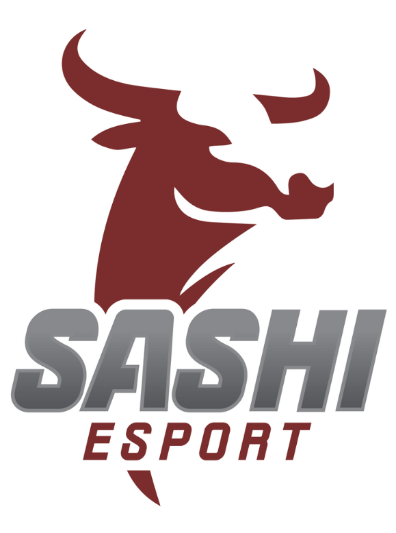 Sashi logo