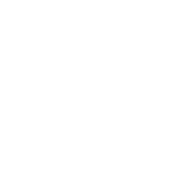 Spirit Academy logo