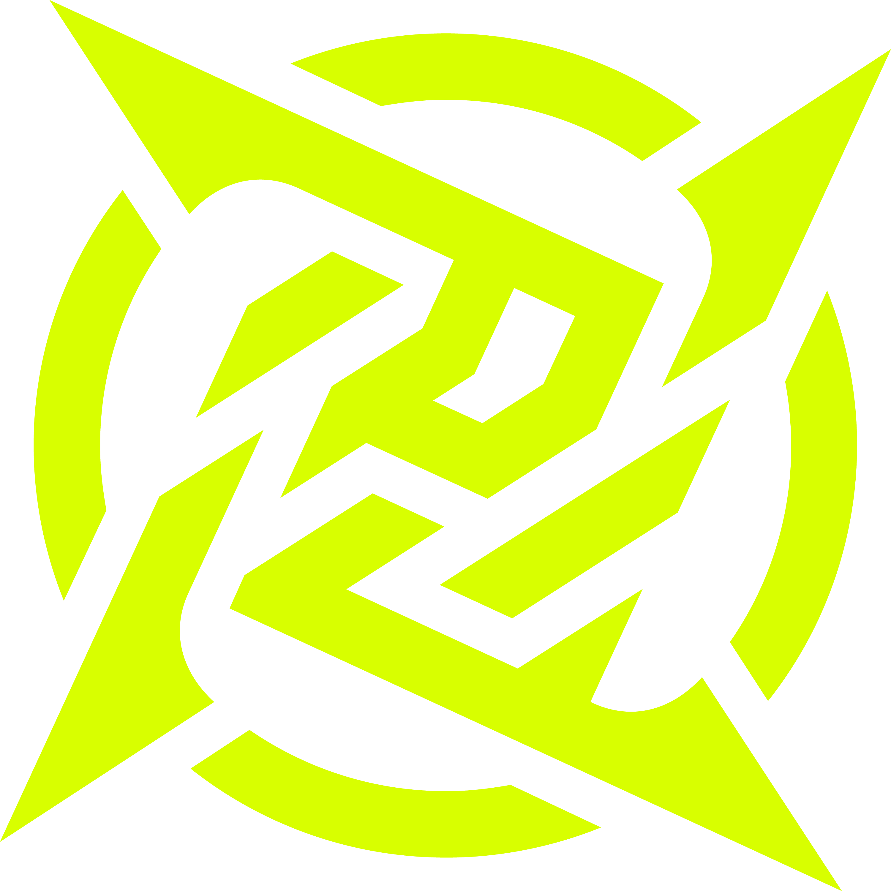 Young Ninjas logo